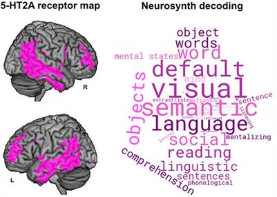 Language as a Window Into the Altered State of Consciousness Elicited by Psychedelic Drugs